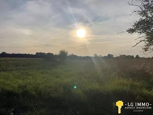 Terrain vente à France métropolitaine, Bois