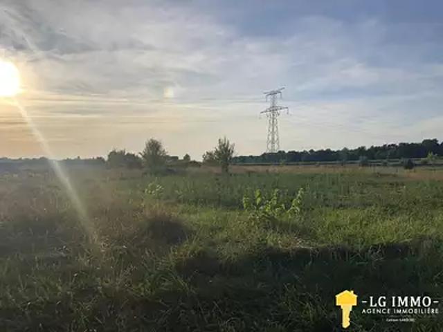 Terrain vente à France métropolitaine, Bois