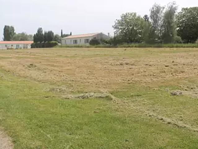 Terrain vente à Jonzac, Bois