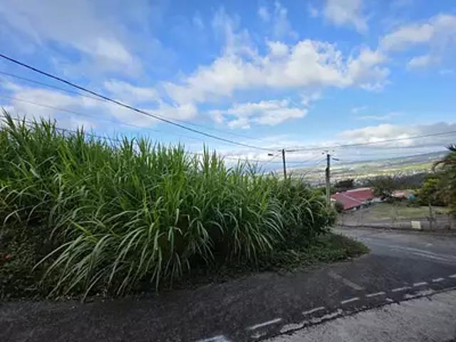 Terrain vente à La Réunion