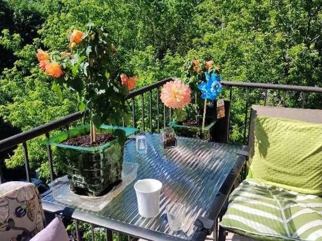 Apartment for rent in Laurentides, Quebec