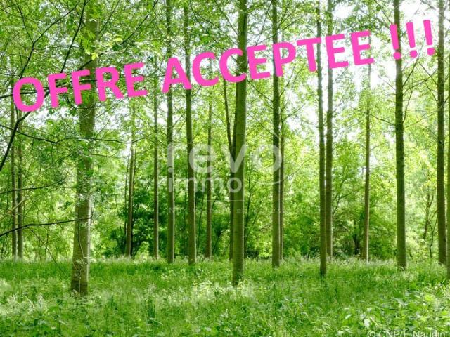 Terrain vente à France métropolitaine, Vallet