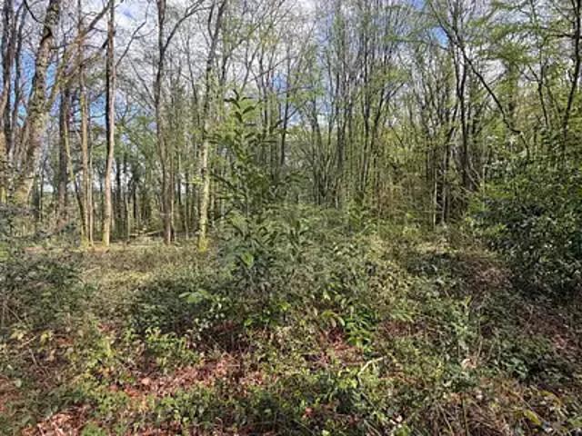 Terrain vente à Fontainebleau, Bois-le-roi