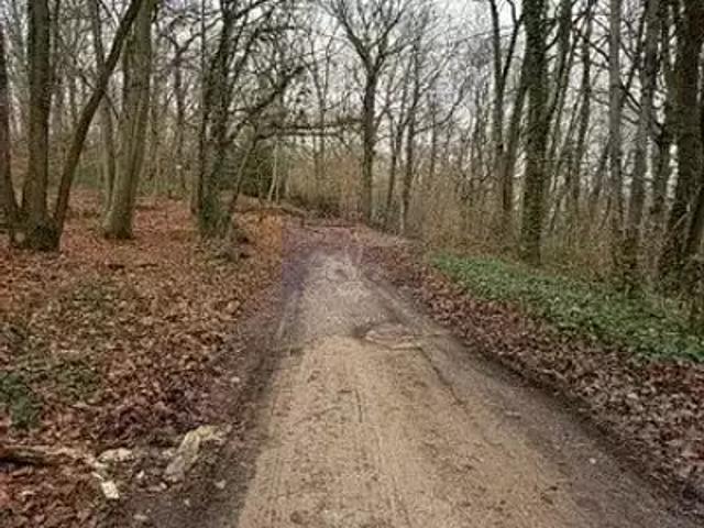 Terrain vente à Fontainebleau, Bois-le-roi