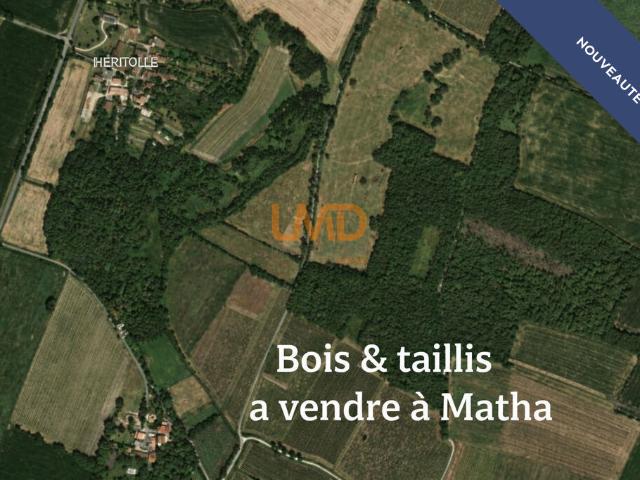 Terrain vente à Saint-Jean-d'Angély, Matha