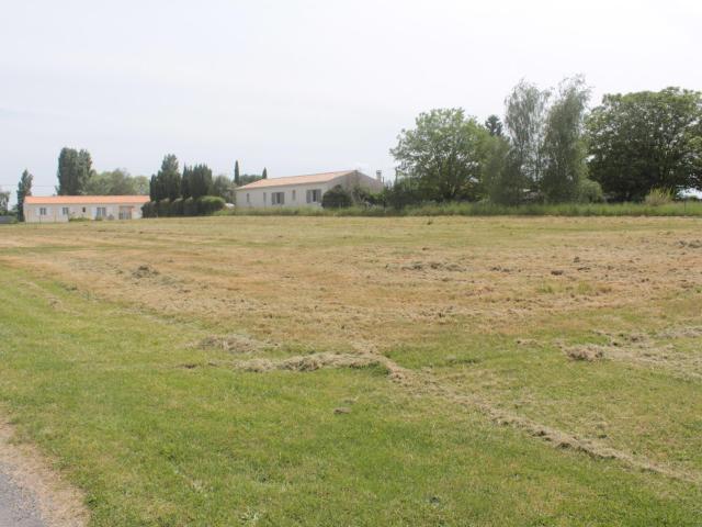 Terrain vente à Jonzac, Bois