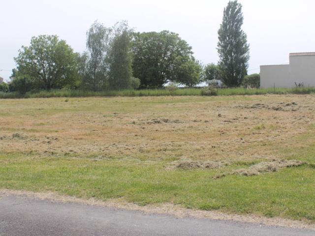 Terrain vente à Jonzac, Bois