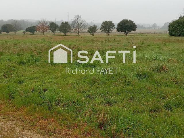 Terrain vente à France métropolitaine, Bois