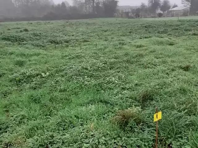 Terrain vente à Montreuil-sur-Mer, Boisjean