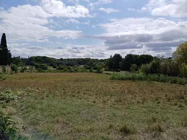 Terrain vente à Montpellier, Boisseron