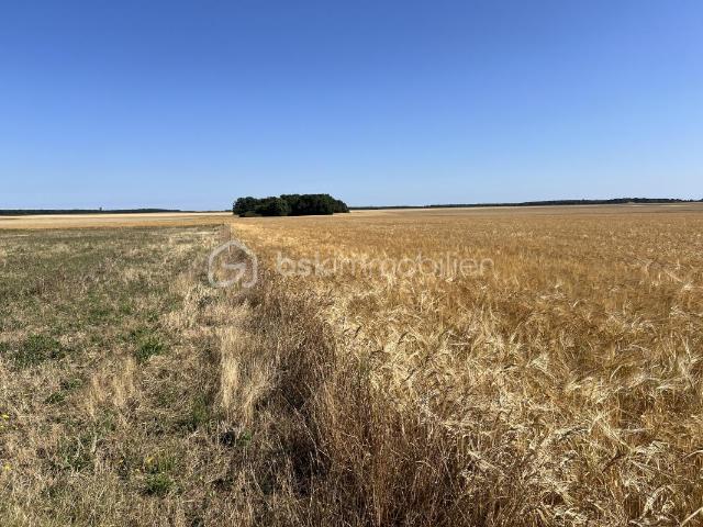 Terrain vente à Dreux, Boissy-en-drouais