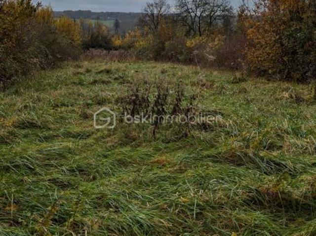 Terrain vente à Meaux, Boissy-le-châtel
