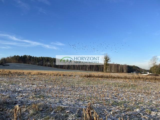 Grunt na sprzedaż w Bojano, Pomorskie