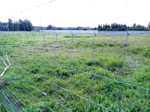 Grunt na sprzedaż w Bolesławiec, Wielkopolskie