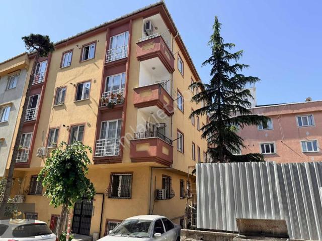 Pendik, İstanbul içerisinde kiralık mülk