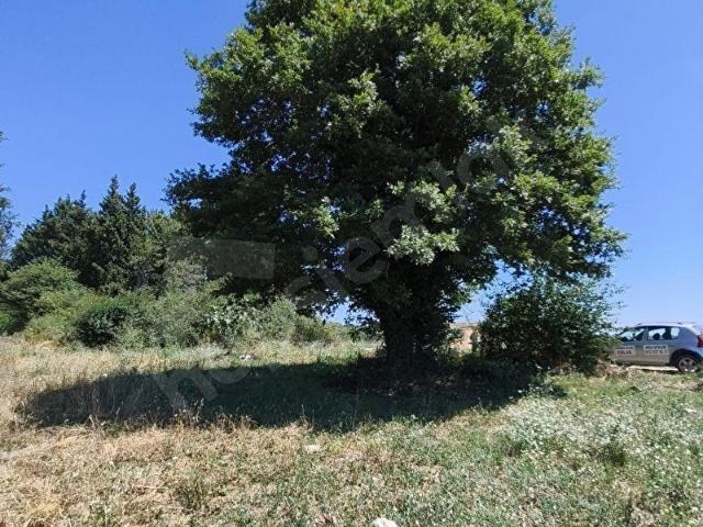 Kandira, Kocaeli içerisinde satılık Arsa