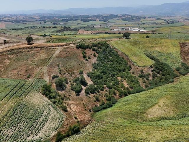 Salbaş, Çukurova içerisinde satılık Arsa