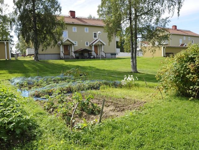 Lägenhet hyra i Boliden, Västerbotten