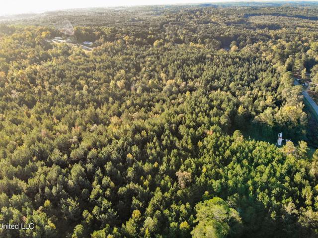 Land for sale in Meridian, Mississippi