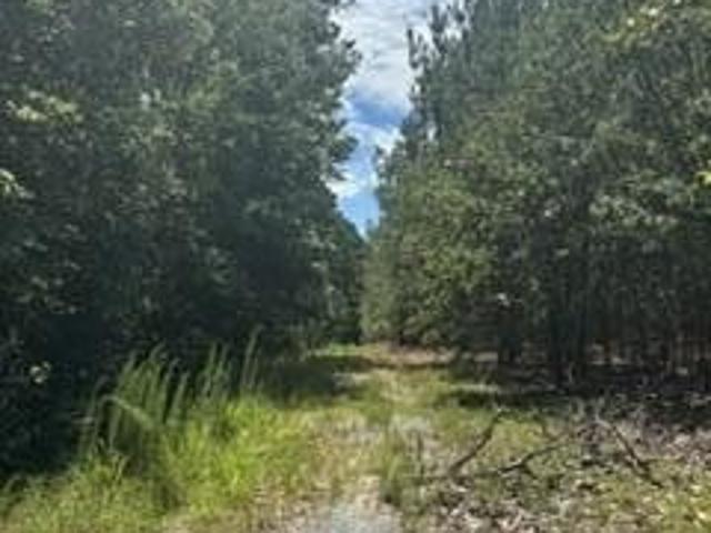 Land for sale in Southern Pines, North Carolina