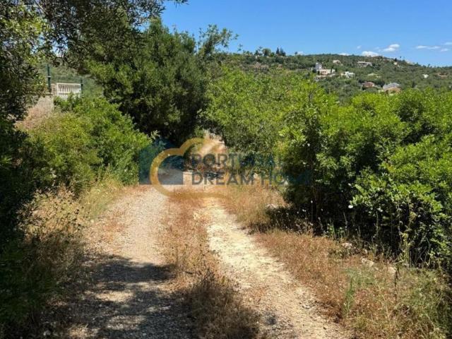 Terreno venda em Loulé, Faro