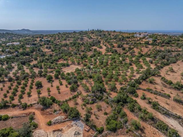 Terreno venda em Loulé, Faro