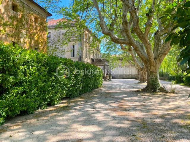 Château vente à Bollène