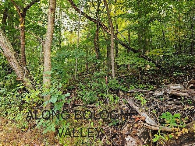 Land for sale in Beaver Falls, Beaver County