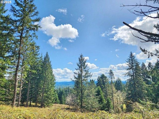 Land for sale in Veneta, Lane County
