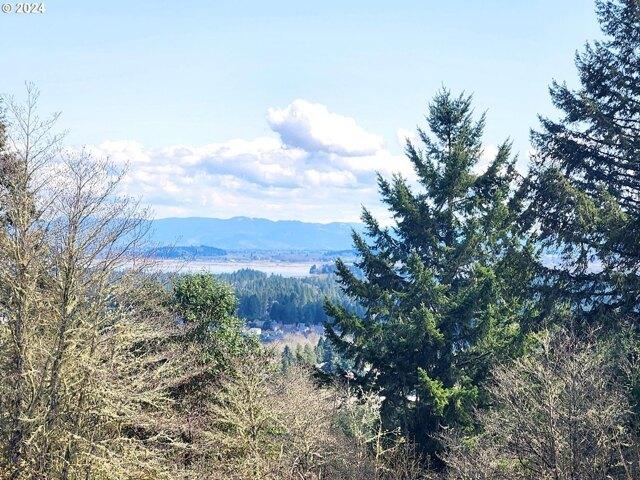 Land for sale in Veneta