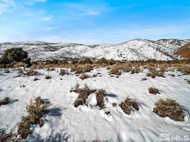 Land for sale in Gardnerville