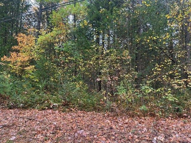 Land for sale in Ashuelot, Winchester