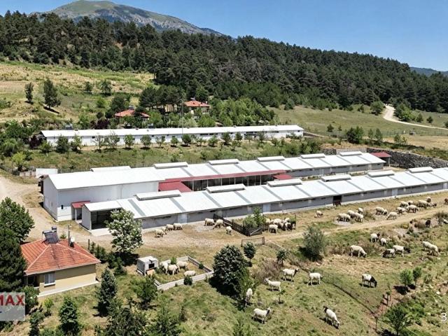Bolu Merkez, Bolu içerisinde satılık Fabrika