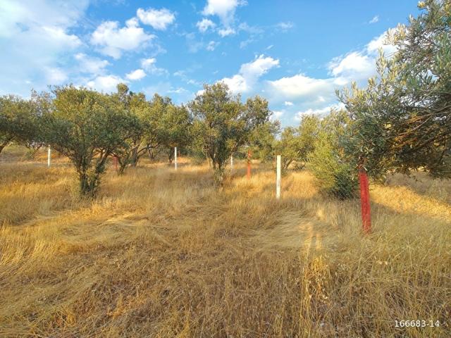 Akhisar, Manisa içerisinde satılık Arsa
