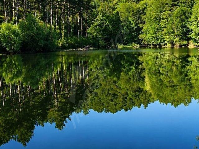 Bolu Merkez, Bolu içerisinde satılık Arsa