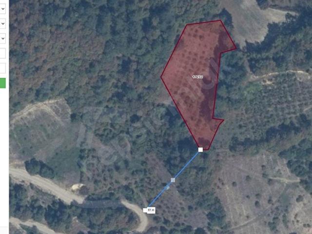 Mudurnu, Bolu içerisinde satılık Arsa