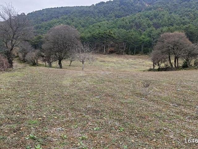 Göynük, Bolu içerisinde satılık Arsa