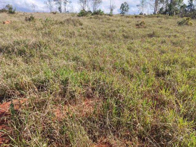 Sítio e chácara venda em Jardim Nova Primavera, Monte Santo de Minas