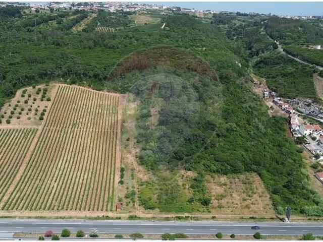 Terreno venda em Bombarral, Leiria