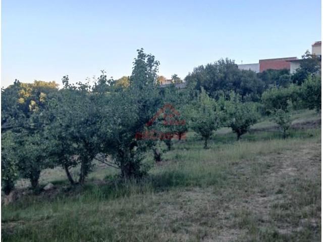 Terreno venda em Bombarral, Leiria