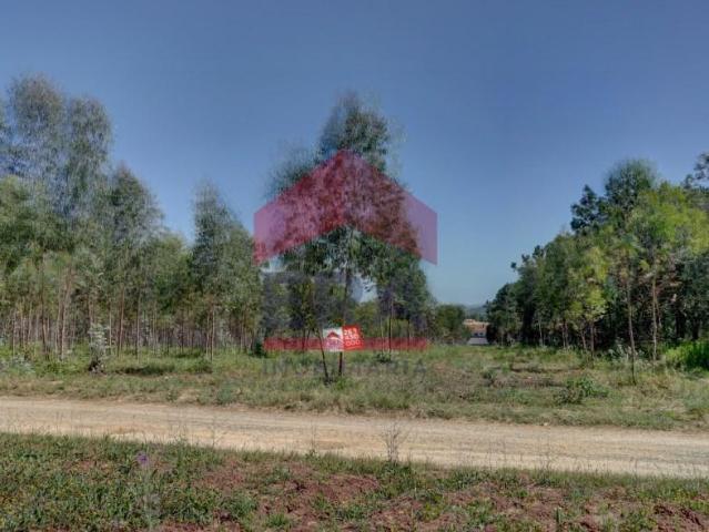 Terreno venda em Columbeira, Bombarral