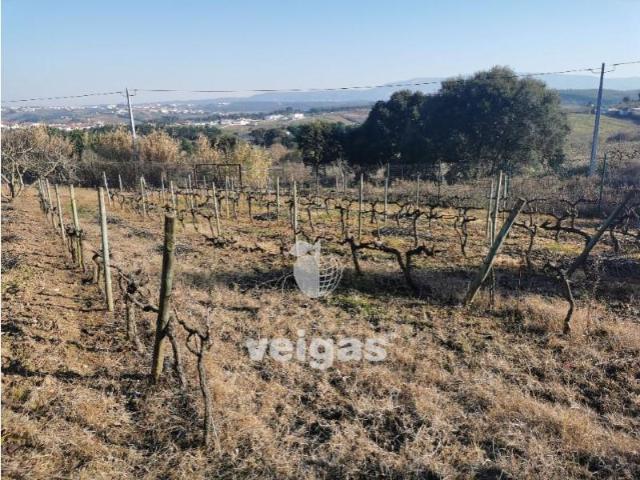 Terreno venda em Bombarral, Leiria