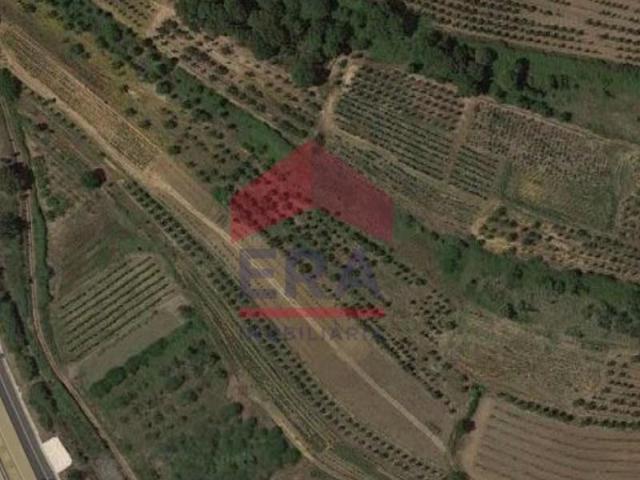 Terreno venda em Bombarral, Leiria