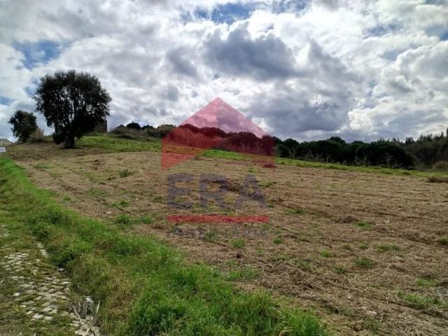 Terreno venda em Bombarral, Portela