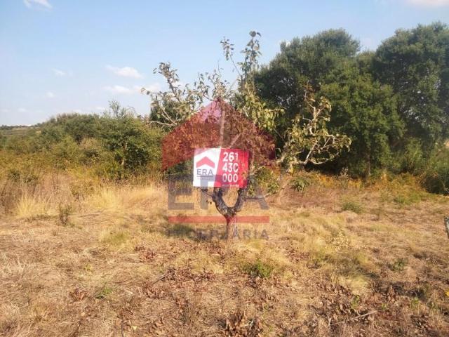 Terreno venda em Rossio do Carvalhal, Bombarral