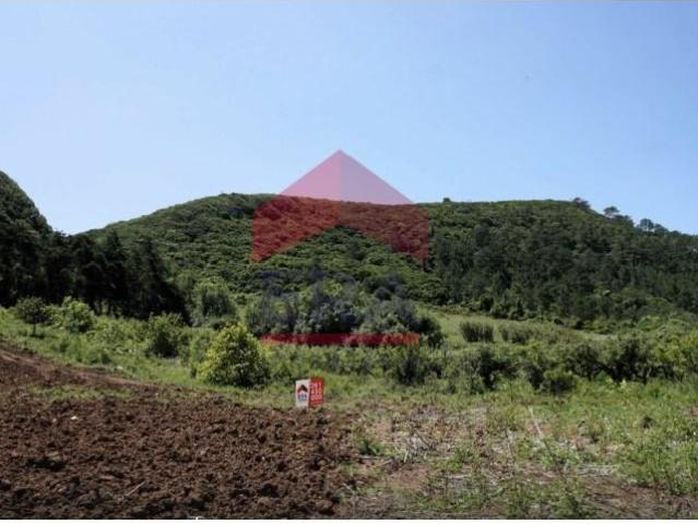 Terreno venda em Camarnais, Bombarral