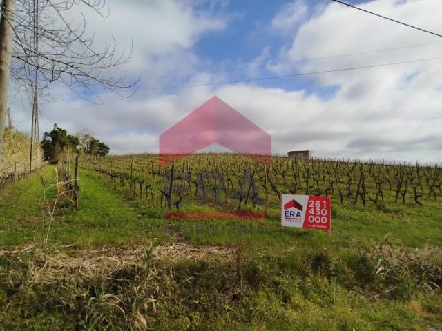 Terreno venda em Bombarral, Leiria