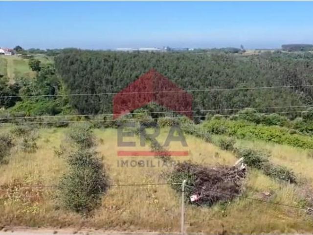 Terreno venda em Bombarral, Leiria