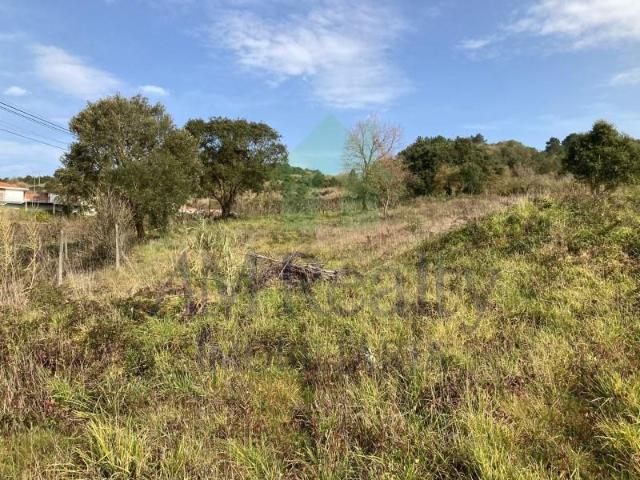 Terreno venda em Bombarral, Leiria