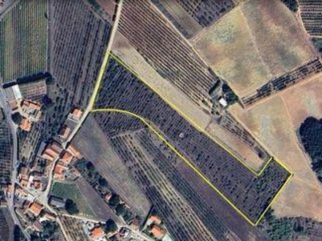 Terreno venda em Saimouca, Bombarral